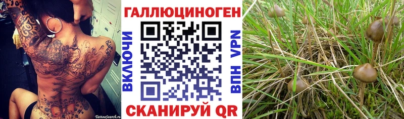 Галлюциногенные грибы мухоморы  Ельня 