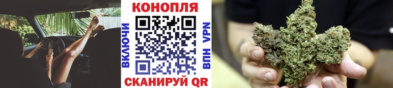 Каннабис ГИДРОПОН  магазин продажи наркотиков  kraken ССЫЛКА  Ельня 
